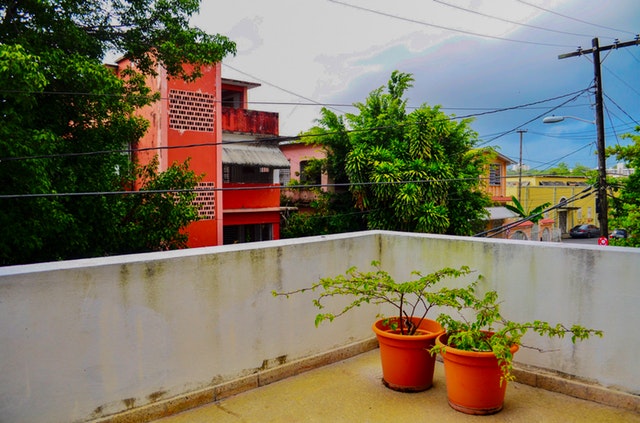Veľký betónový balkón s dvoma veľkými kvetináčmi so zelenými rastlinami